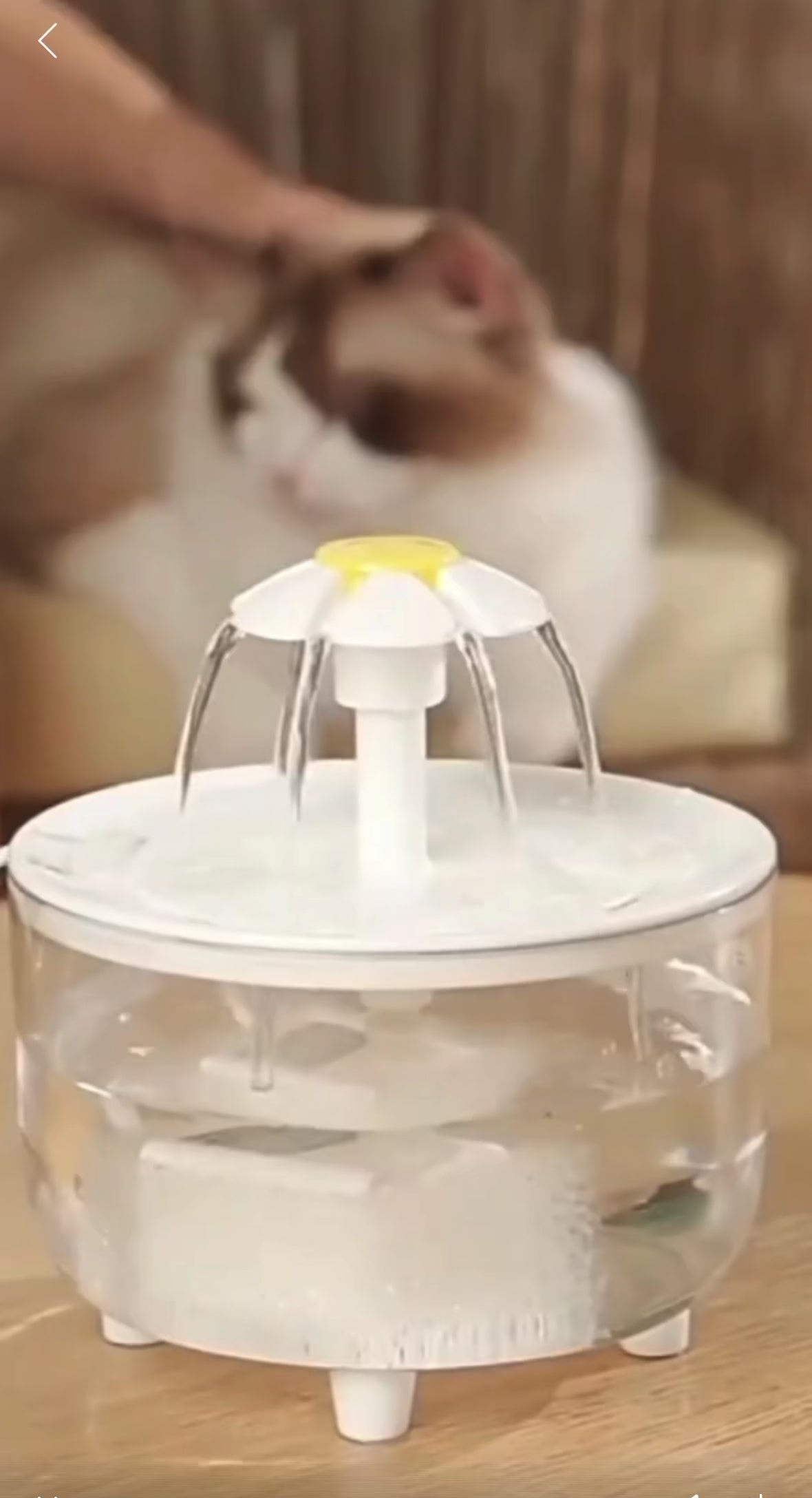 Automatic Pet Water Fountain™ | Fresh Filtered Water 24/7 for Cats & Dogs